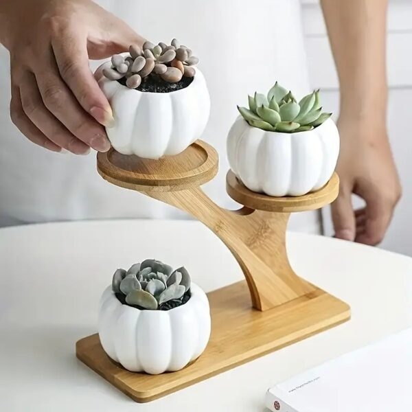 Wo-Tiered Bamboo Plant Stand - Elegant Display Shelf for Small Potted Plants - Round Wooden Base - Image 5
