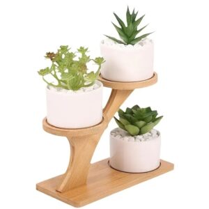 Wo-Tiered Bamboo Plant Stand - Elegant Display Shelf for Small Potted Plants - Round Wooden Base